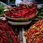 Harga Cabai Rawit Hijau Rp50 Ribu per Kg di Pasar Tulungagung Indramayu