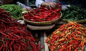 harga-cabai-rawit-hijau-rp50-ribu-per-kg-di-pasar-tulungagung-indramayu-83593 Harga Cabai Rawit Hijau Rp50 Ribu per Kg di Pasar Tulungagung Indramayu