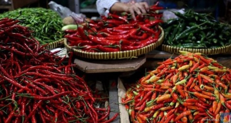 Harga Cabai Rawit Hijau Rp50 Ribu per Kg di Pasar Tulungagung Indramayu