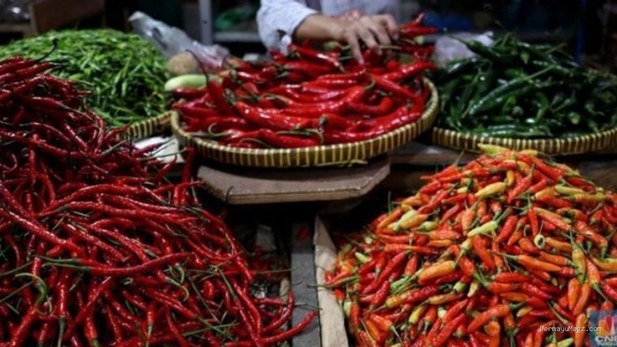 Harga Cabai Rawit Hijau Rp50 Ribu per Kg di Pasar Tulungagung Indramayu