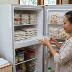 Ide Bisnis Ibu Rumah Tangga Bermodal Kulkas dan Freezer, Raih Keuntungan Harian