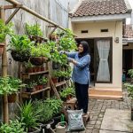 Ide Kebun Sayur di Lahan Sempit untuk Ibu Rumah Tangga, Solusi Dapur Hemat