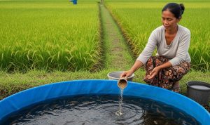 Ide Ternak Ikan Kolam Terpal untuk Ibu Rumah Tangga Dekat Sawah