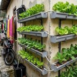 Inspirasi Kebun Mini Hidroponik untuk Lahan Terbatas di Rumah Gang Sempit