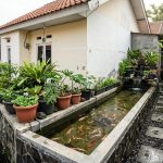 Inspirasi Kolam Ikan Memanjang di Samping Rumah Subsidi yang Menenangkan
