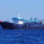 KKP Sita Kapal Asing Muat Ikan Napoleon Ilegal