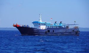 KKP Sita Kapal Asing Muat Ikan Napoleon Ilegal