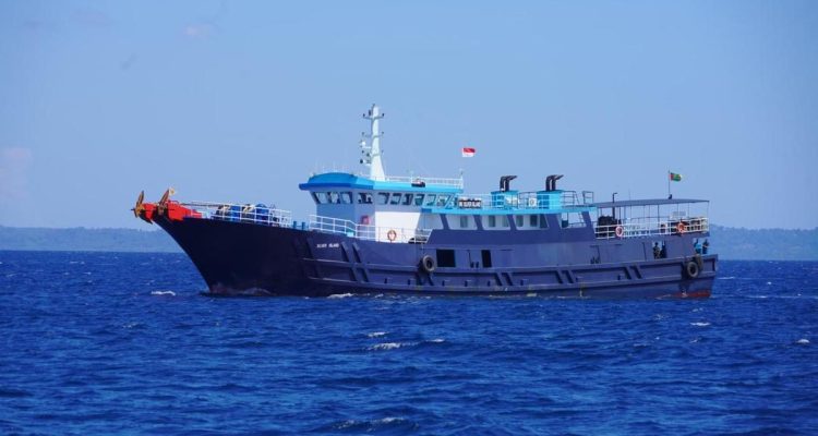 KKP Sita Kapal Asing Muat Ikan Napoleon Ilegal