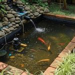 Kolam Estetik Rumah: Panduan Praktis Buat Sendiri Hemat Biaya
