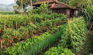 Kombinasi Tanaman Tumpang Sari untuk Hasil Maksimal dan Ketahanan Hama