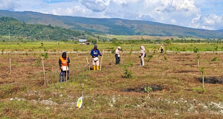 Masyarakat Kelola Lahan Produktif dan Legal Berkat Reforma Agraria