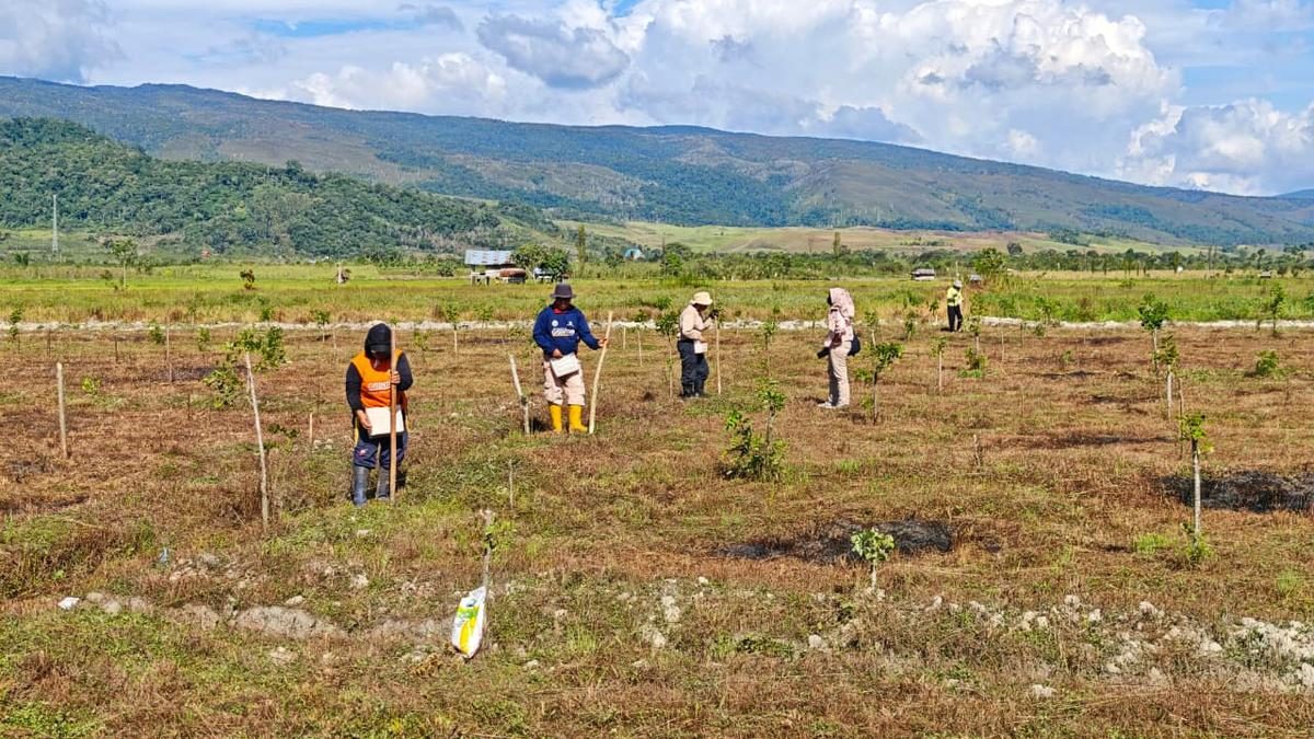 Masyarakat Kelola Lahan Produktif dan Legal Berkat Reforma Agraria