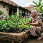 Membuat Bedengan Sayur dari Bata Bekas Tanpa Semen, 6 Langkah Praktis