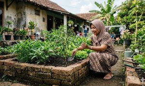membuat-bedengan-sayur-dari-bata-bekas-tanpa-semen-6-langkah-praktis-94116 Membuat Bedengan Sayur dari Bata Bekas Tanpa Semen, 6 Langkah Praktis