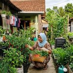 Memulai Sistem Pangan Mandiri untuk Ibu Rumah Tangga di Lahan Sempit