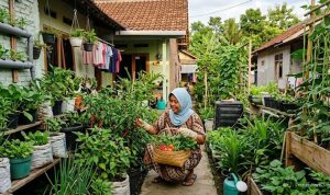 Memulai Sistem Pangan Mandiri untuk Ibu Rumah Tangga di Lahan Sempit