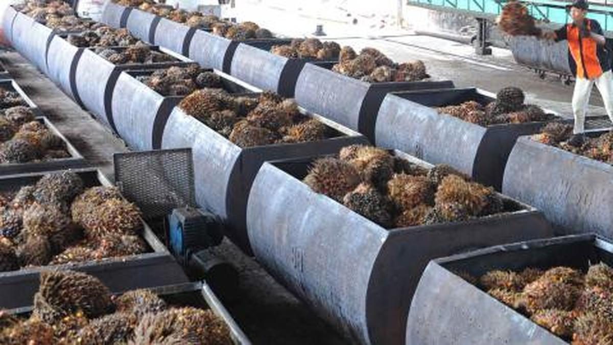 Mengubah Limbah Sawit Menjadi Listrik oleh PLN