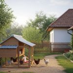 Menjaga Jarak Tepat Kandang Ayam dari Rumah untuk Ternak Kecil