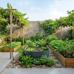 Model Rumah Desa dengan Halaman Samping Produktif untuk Inspirasi