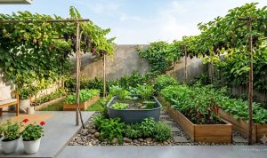Model Rumah Desa dengan Halaman Samping Produktif untuk Inspirasi