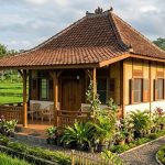 Model Rumah Desa di Lahan Subur Bekas Sawah untuk Hunian Asri