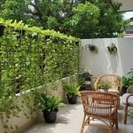 Pagar Rumah Minimalis Sekaligus Kebun Vertikal Fungsional dan Estetik