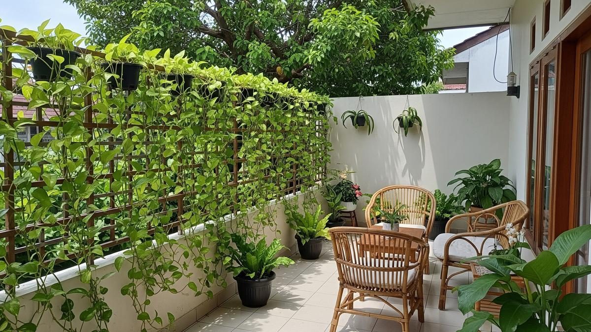 Pagar Rumah Minimalis Sekaligus Kebun Vertikal Fungsional dan Estetik