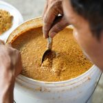 Pakan Ayam Kampung untuk Pemula, Hemat dan Cepat Tumbuh