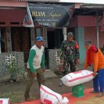 Panen Padi Sumuradem: Babinsa Pastikan Hasil Tani untuk Kesejahteraan Petani