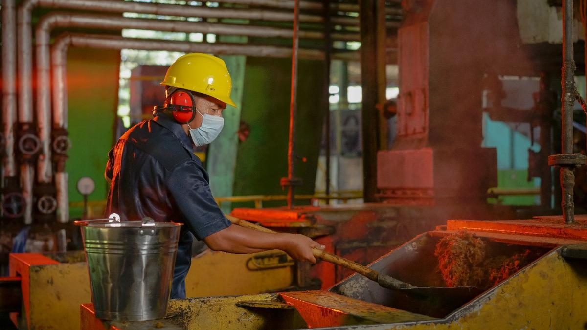 Pangkas Biaya Logistik Minyak Goreng ke Indonesia Timur