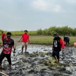 PDIP Indramayu Tanam Mangrove: Peduli Lingkungan Pesisir Kandanghaur