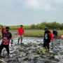 PDIP Indramayu Tanam Mangrove: Peduli Lingkungan Pesisir Kandanghaur