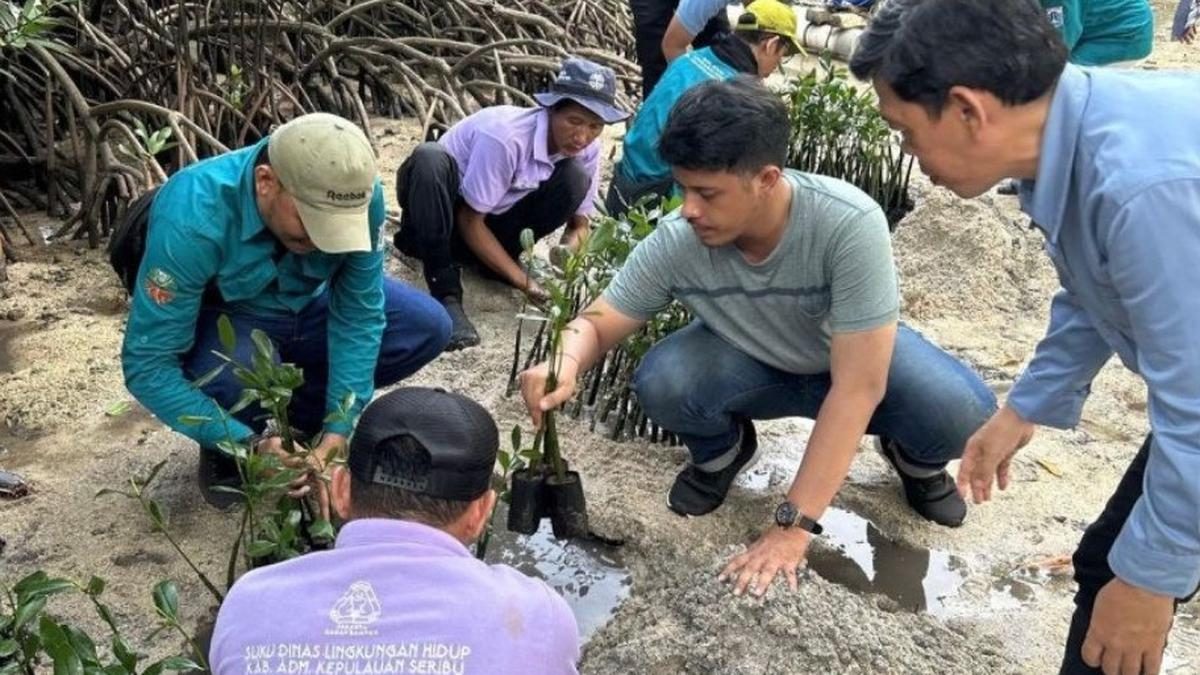 Pelepasan 50 Tukik dan Penanaman 500 Bibit Mangrove di Pulau Sabira
