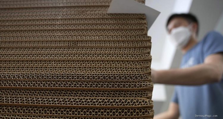 Pemerintah Cabut Bea Masuk Antidumping Kertas Karton Dupleks dari Tiga Negara
