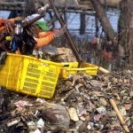 Penyelesaian Pembersihan Sampah Muara Angke Hampir Tuntas, Target Rampung Sabtu