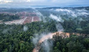 Pertumbuhan Ekonomi Maluku Utara Didorong Hilirisasi Nikel