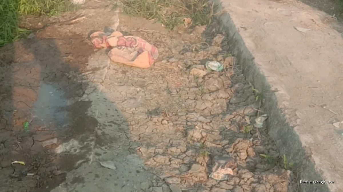 Petani Sawah Indramayu: Saluran Tersier Tersumbat Tanah Keluhan Petani