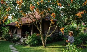 Pohon Buah Andalan Petani untuk Halaman Rumah Pedesaan