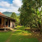 Pohon Buah Berdaun Lebat untuk Pagar Pekarangan yang Berfaedah