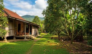 Pohon Buah Berdaun Lebat untuk Pagar Pekarangan yang Berfaedah