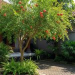 Pohon Buah yang Aman untuk Pekarangan dan Tidak Merusak Paving