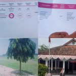 Proyek Fiktif Lapangan Bola Temiyang: LSM ABRI Ancam Lapor Pemdes & KPK