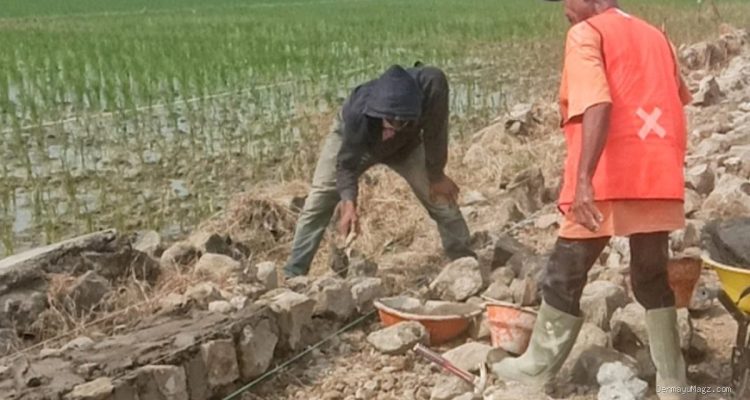 Proyek Rekonstruksi Sukamelang-Kedokan Gabus: TPT Diduga Tak Sesuai RAB