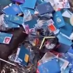 Ratusan Paspor Berserakan di Jalanan BSD: Begini Fakta Sebenarnya