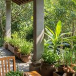 Rumah Produktif: Inspirasi Kebun Pangan Sekitar Teras