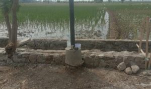 TPT Indramayu: Pohon Dibiarkan, Proyek Jalan Sukamelang Tuai Sorot