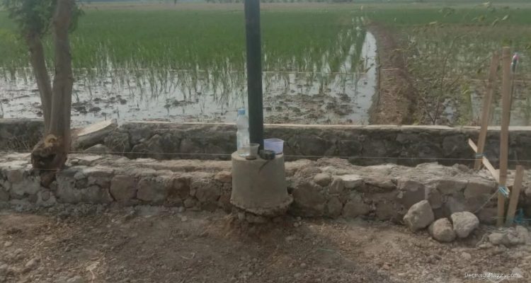 TPT Indramayu: Pohon Dibiarkan, Proyek Jalan Sukamelang Tuai Sorot