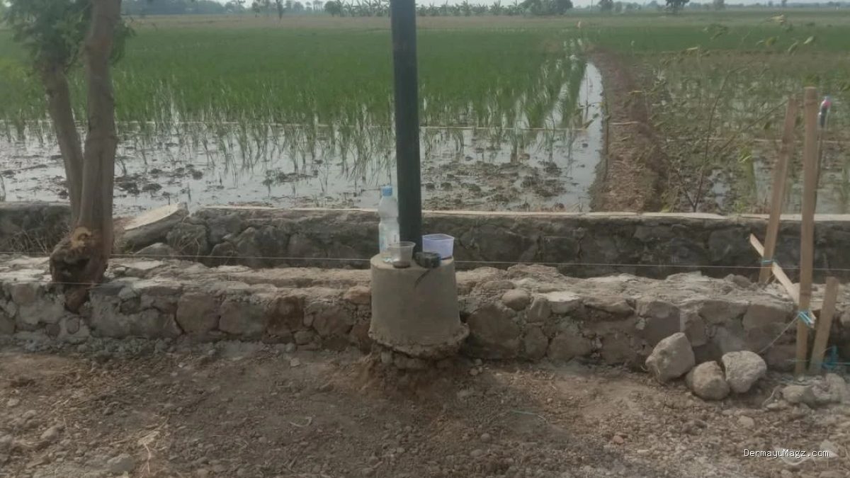 TPT Indramayu: Pohon Dibiarkan, Proyek Jalan Sukamelang Tuai Sorot