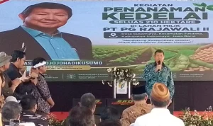 Utusan Khusus Prabowo, Hashim Hadiri Penanaman Kedelai Nasional Indramayu