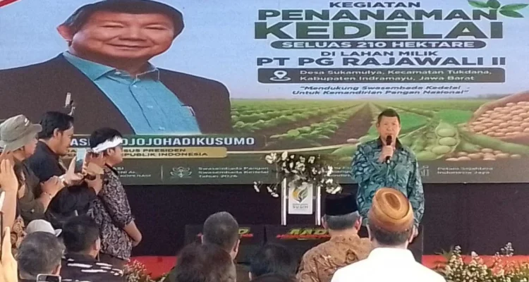 Utusan Khusus Prabowo, Hashim Hadiri Penanaman Kedelai Nasional Indramayu